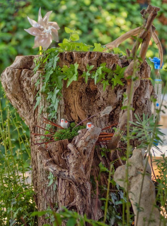 Studio App Luka-We Love Nature. Sveti Ivan  Zewnętrze zdjęcie